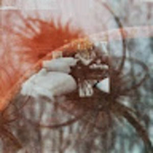 Meet your Posher, Rory